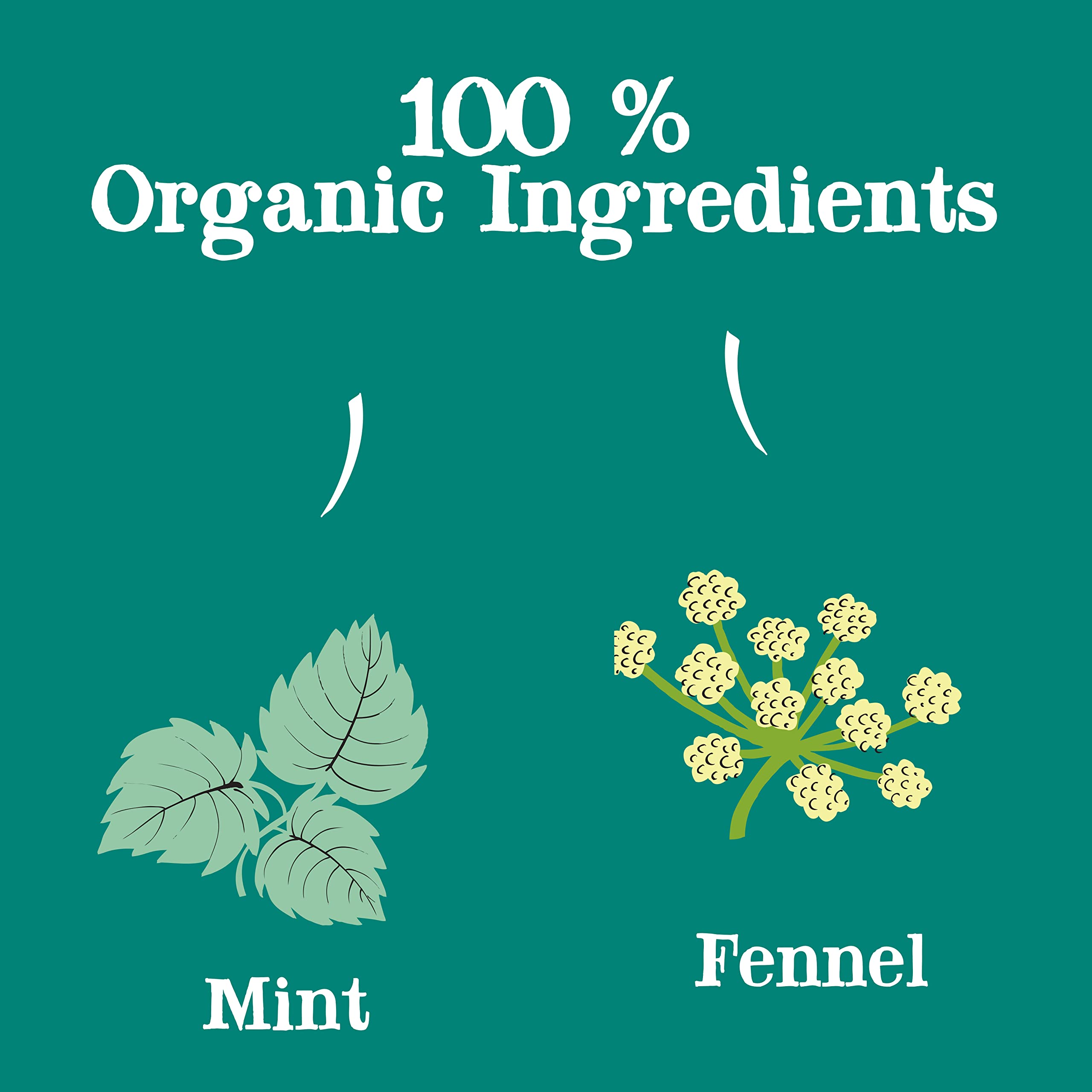 Organic Mint & Fennel Herbal Tea Bags - USDA Certified, Non-GMO, Caffeine-Free British Blend (20 Count) - Perfect for After Dinner Relaxation & Digestive Support