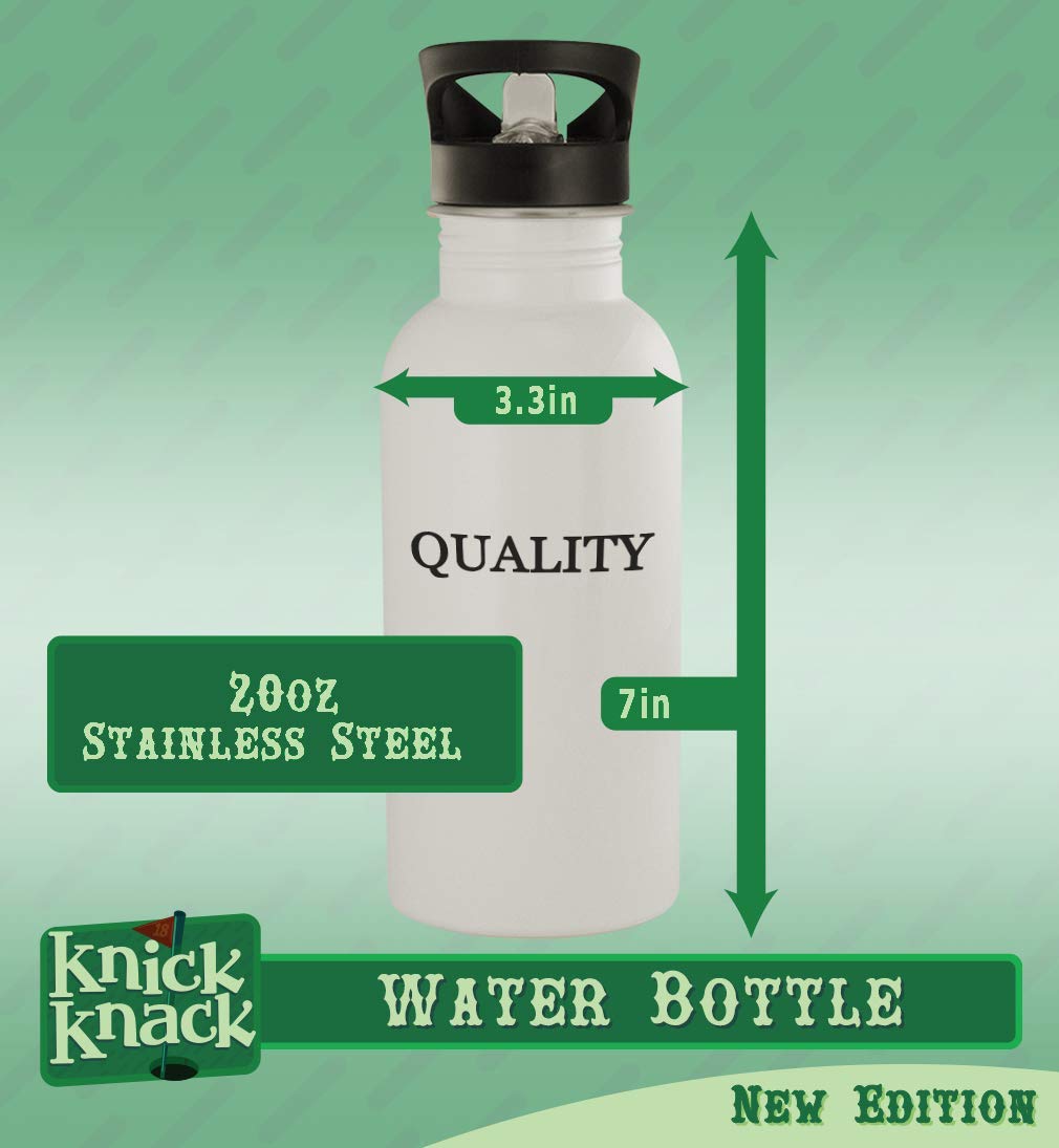20oz Stainless Steel Outdoor Water Bottle - Insulated, Leakproof & Eco-Friendly for Hiking, Camping & Gym - Silver