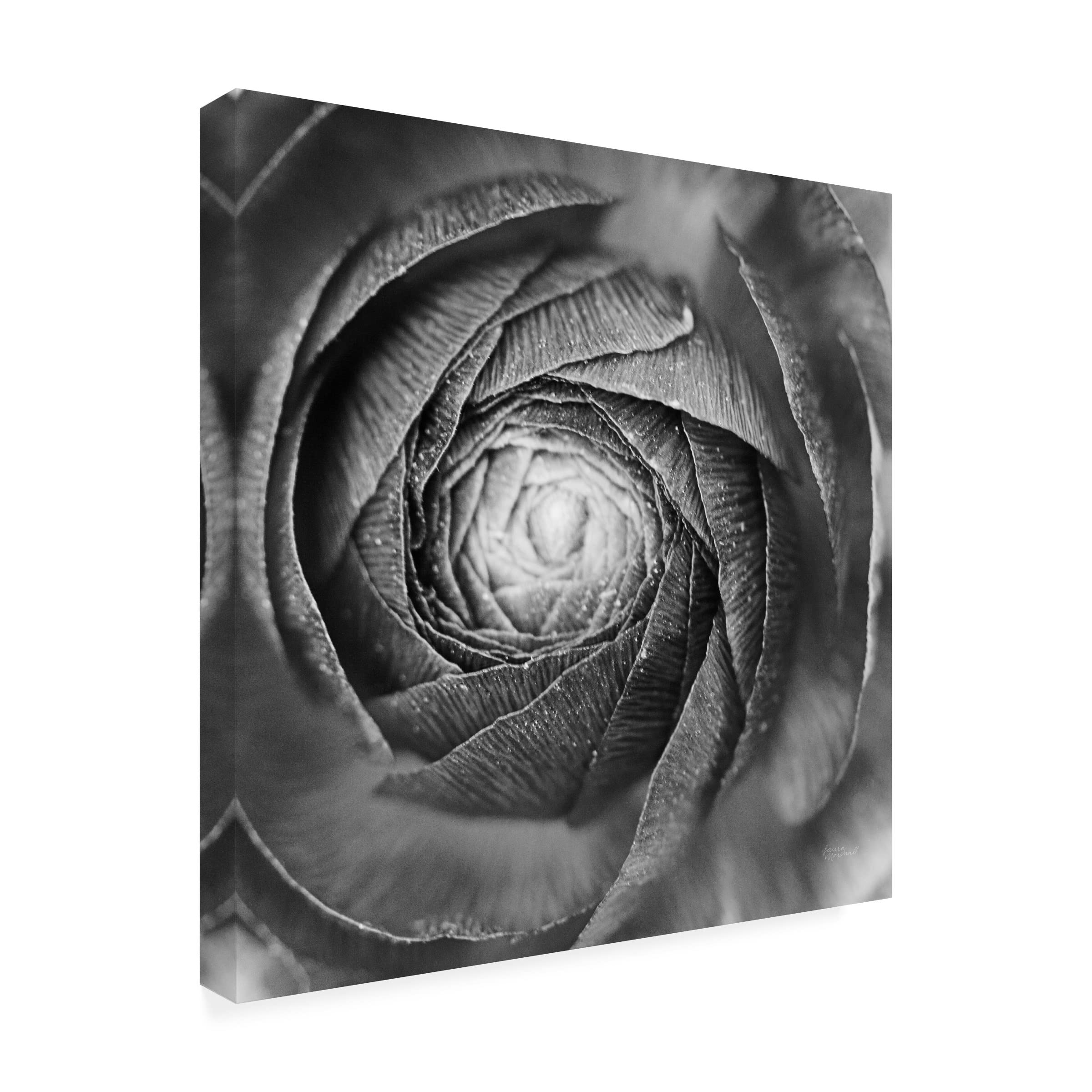 Trademark Fine Art 'Mediterranean Flair XIII' Canvas Wall Art by Daphne Brissonnet - Coastal Home Decor, Beach House Painting, Living Room & Bedroom Wall Art