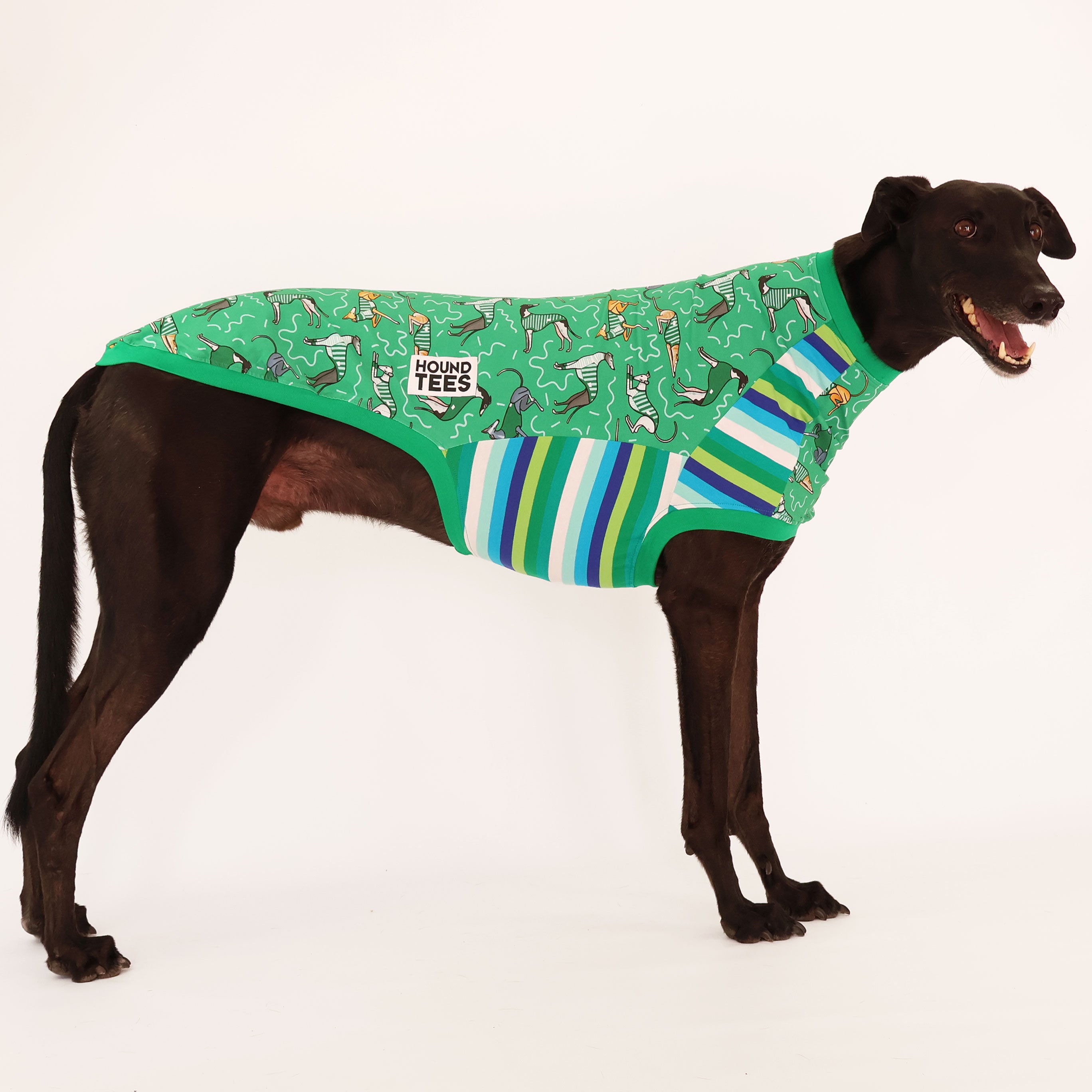 All The Hounds Greyhound Sleeveless Hound Tee - Comfortable Dog Lover T-Shirt for Men & Women - Perfect for Casual Wear, Dog Walks, and Greyhound Enthusiasts