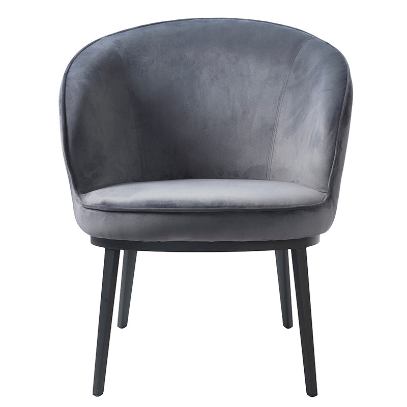 GAIN Lounge Chair - Modern Steel Grey Accent Chair for Living Room, Bedroom & Office - Comfortable Reading & Relaxation Chair with Sturdy Frame
