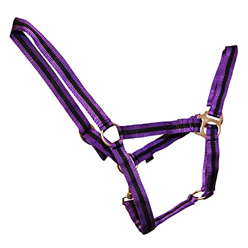Purple/Black