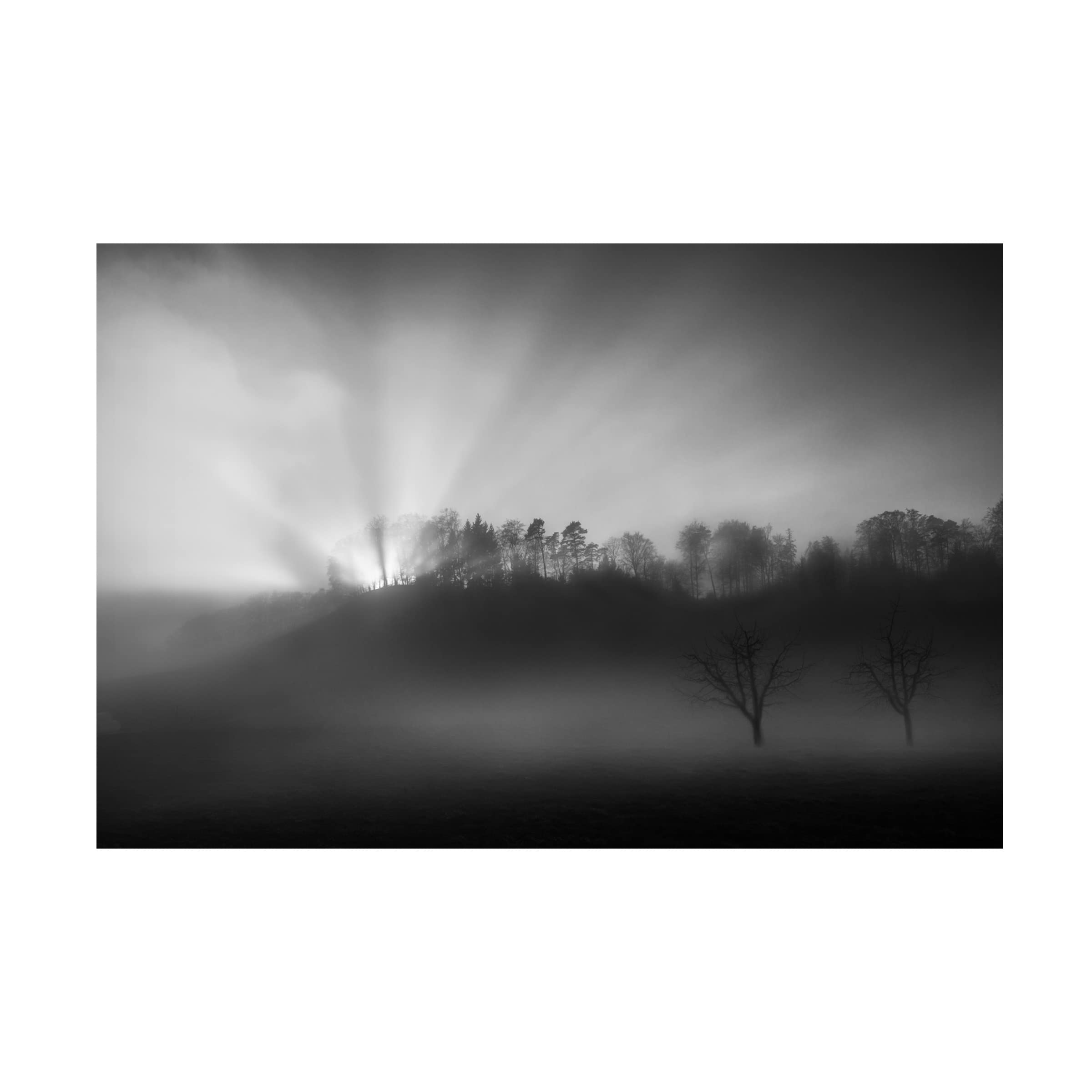 Trademark Fine Art 'The Sun In The Fog' Canvas Wall Art Print by Nic Keller - Perfect for Living Room, Bedroom & Office Decor