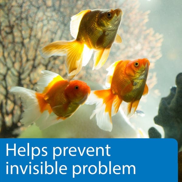 API 5-in-1 Aquarium Water Test Strips for Freshwater & Saltwater Tanks - Quickly Test pH, Nitrite, Nitrate, Chlorine & Hardness | Ideal for Fish Tanks, Shrimp Aquariums & Aquatic Pets