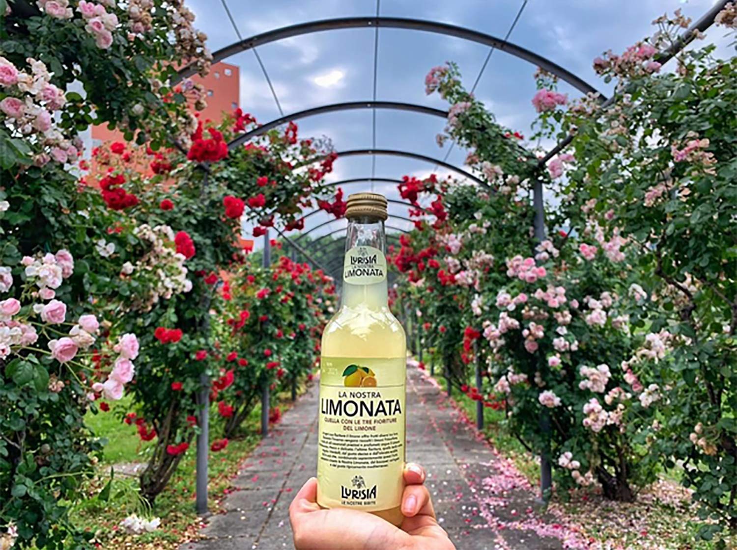Lurisia La Nostra Limonata - Premium Italian Sparkling Lemon Soda Drink, 9.3 oz Glass Bottles (Pack of 24) - Refreshing Carbonated Beverage for Parties, Picnics & Summer Gatherings