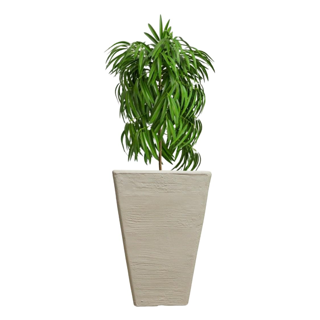 Elly Décor 14 Inch Plastic Square Garden Planter Pot with Drainage Hole - Lightweight & Durable 9x14 Inch Ivory Planter for Indoor Plants, Outdoor Flowers, Herbs, Succulents - Perfect for Patio, Balcony, Deck & Home Decor