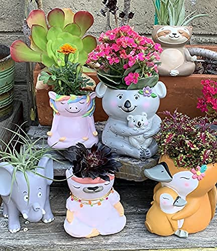GFF Grass Flip Flops Animal Planters - 5 Inch Koala Mama Succulent Pots for Indoor/Outdoor Plants, Flowers, Herbs | Perfect for Home, Office, Kitchen & Garden Decor (Great Gift Idea for Plant Lovers)