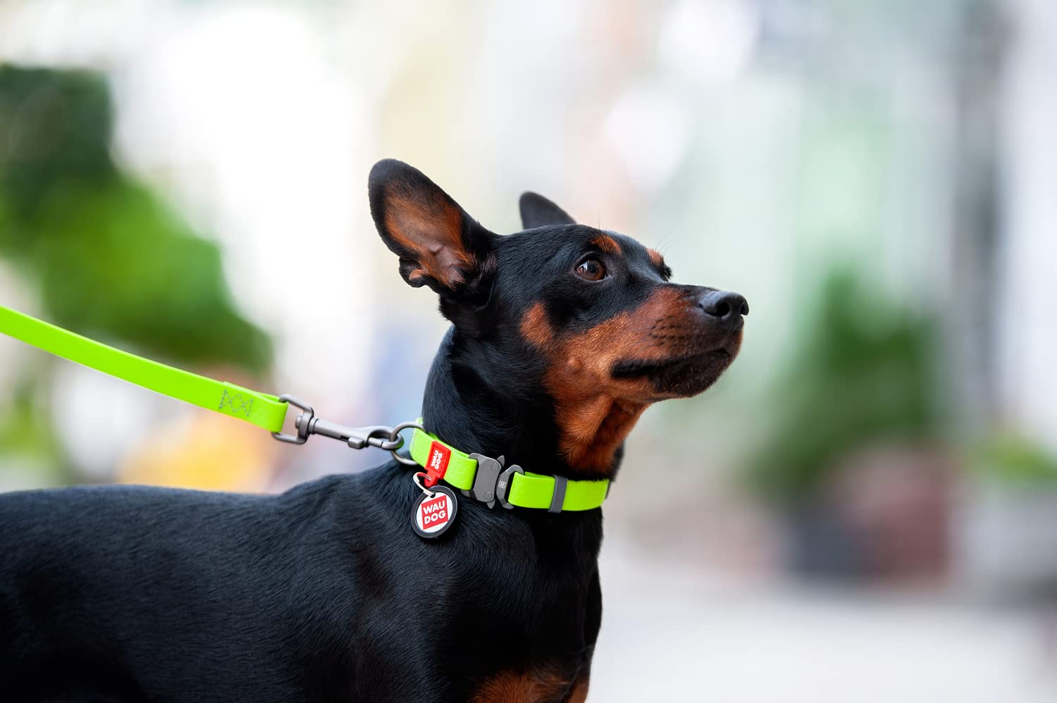 WAUDOG Adjustable Waterproof Dog Collar - Soft Durable Pet Collar for Dogs & Puppies - Comfortable Strong Training Collar for Small Medium Large Dogs - Perfect for Walking Hiking Swimming Outdoor Activities