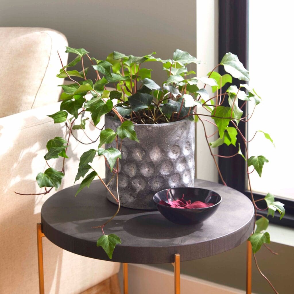 Cyan Design 11053 Potomac Large Planter in Pewter Gray - Modern Indoor/Outdoor Flower Pot for Home & Garden Decor