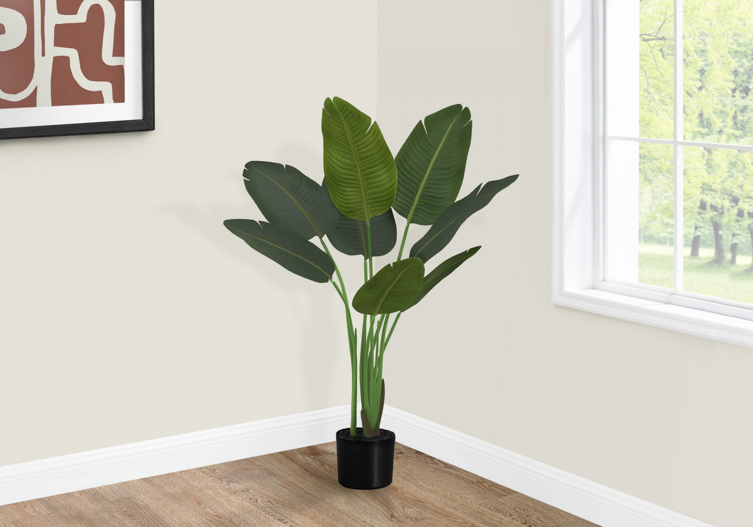 44 Bird of Paradise Plant with 5 Black Pots - Tropical Indoor/Outdoor Decor for Home, Office & Garden