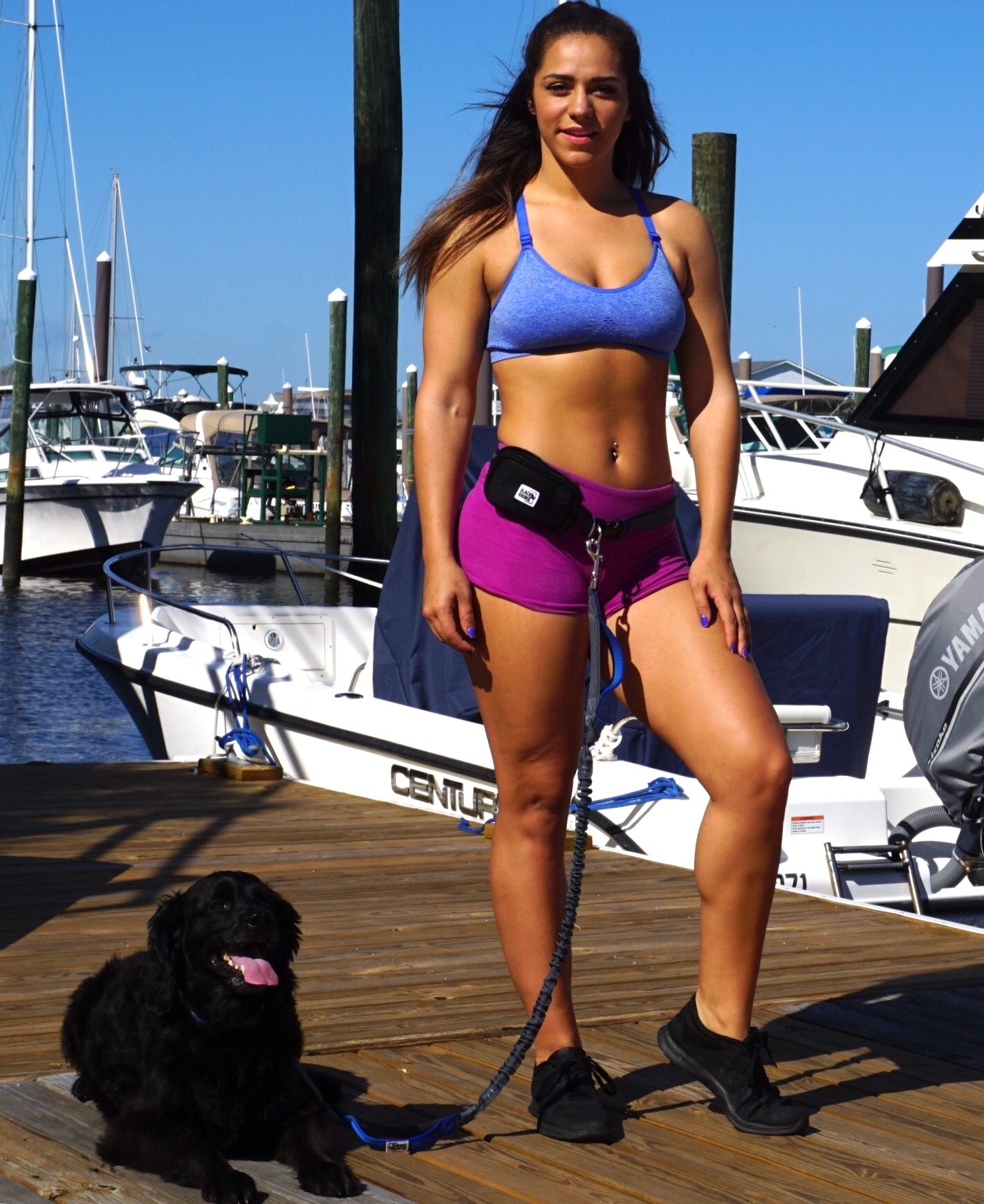 Black Rhino Hands-Free Dog Leash - Adjustable Bungee Leash for Running, Walking, Jogging & Hiking with Neoprene Padded Handles - Perfect for Medium to Large Dogs (Blue/Green) - Includes Free Running Pouch | Ideal for Outdoor Adventures, Park Visits & Daily Exercise