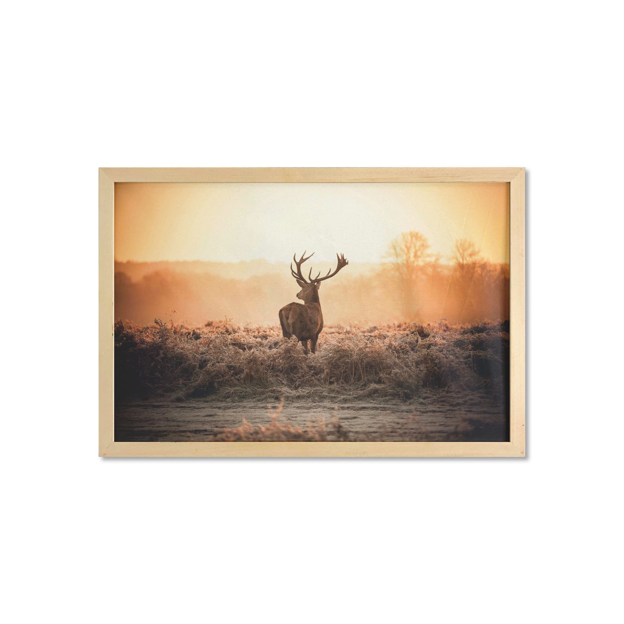 Ambesonne Hunting Wall Art with Frame - Red Deer in Morning Sun Wilderness Nature Scenery, Printed Fabric Poster for Bathroom, Living Room & Dorm Decor, 35x23 Inches, Brown Orange - Perfect for Cabin, Lodge & Hunting Cabin Decor