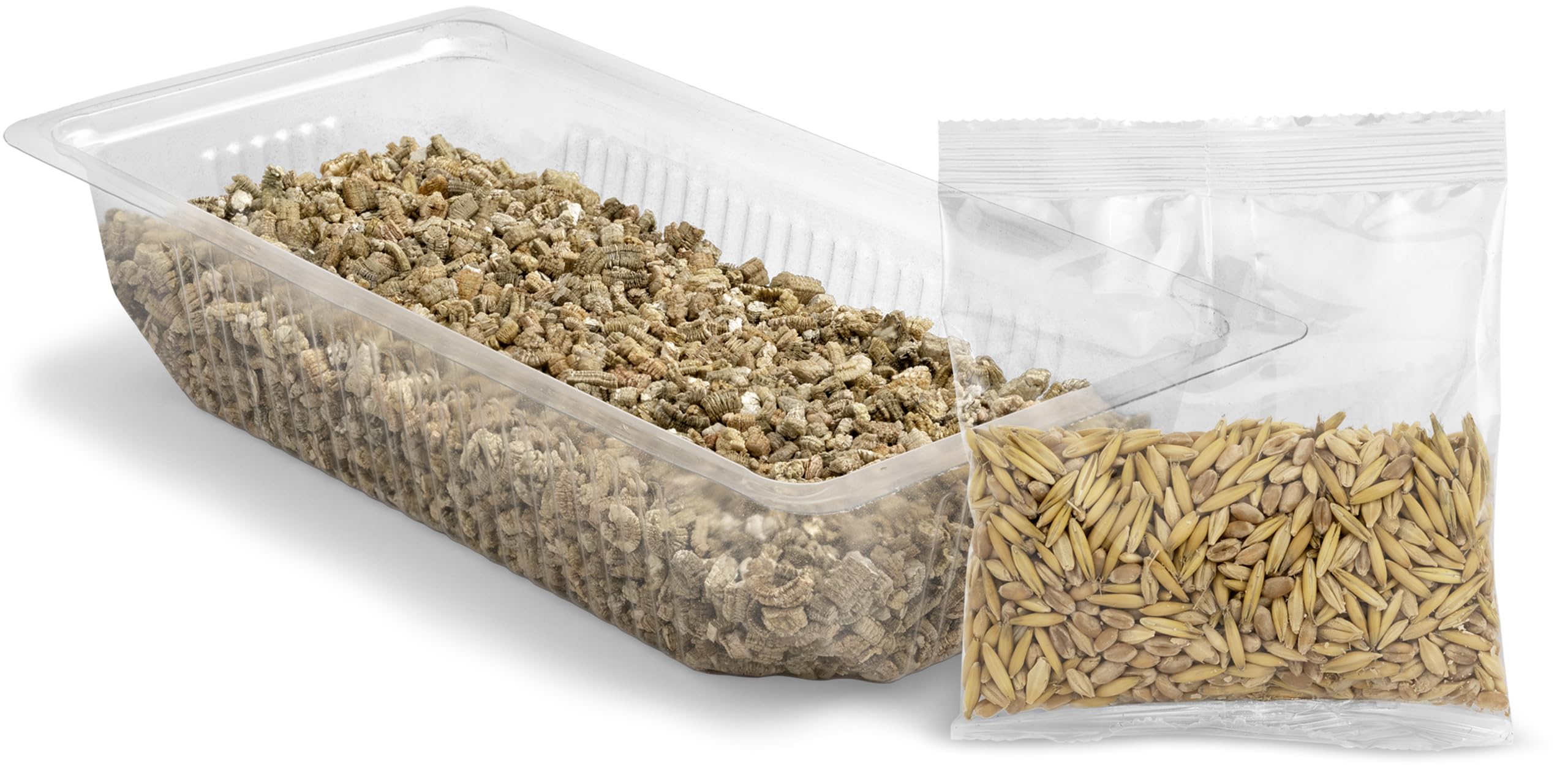 Vitakraft Cat Grass Toy for Indoor Cats - Natural & Safe Chewing Fun for Playtime & Dental Health