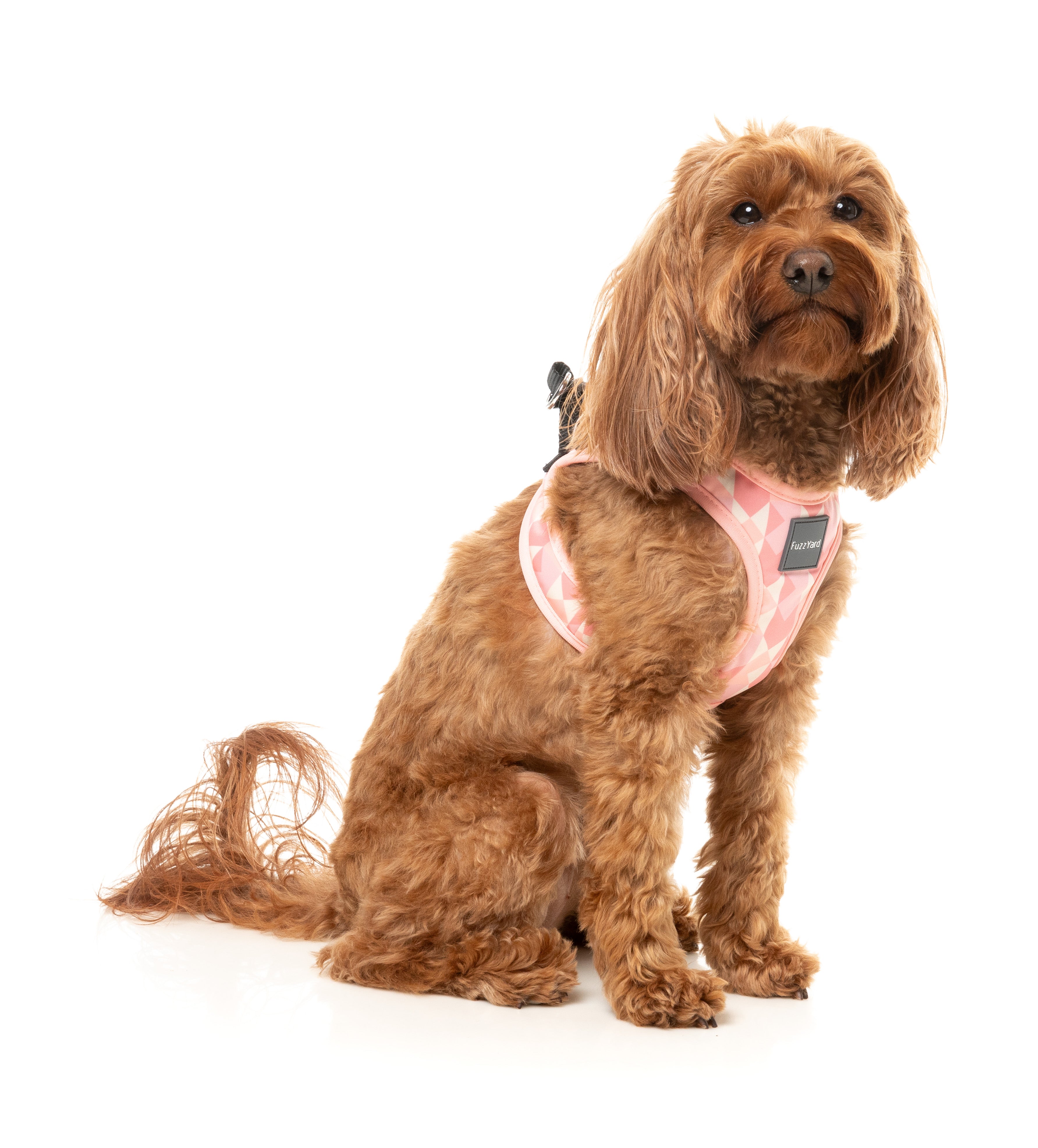 Fuzzyard Pink Lemonade Dog Step-In Harness - Adjustable Soft Pet Vest for Small & Medium Dogs - Perfect for Walking, Training & Outdoor Adventures