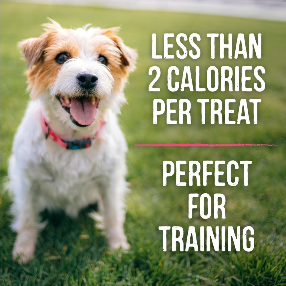 Merrick Lil' Plates Grain-Free Bitty Beef Dog Treats - Small Bite-Sized Training Snacks for Puppies & Small Dogs - Perfect for Rewards, Training & On-the-Go Treats