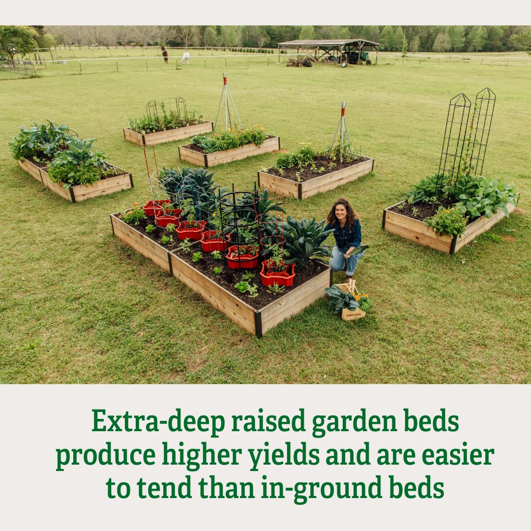 **Extra Deep Raised Garden Bed 4'x8'x14