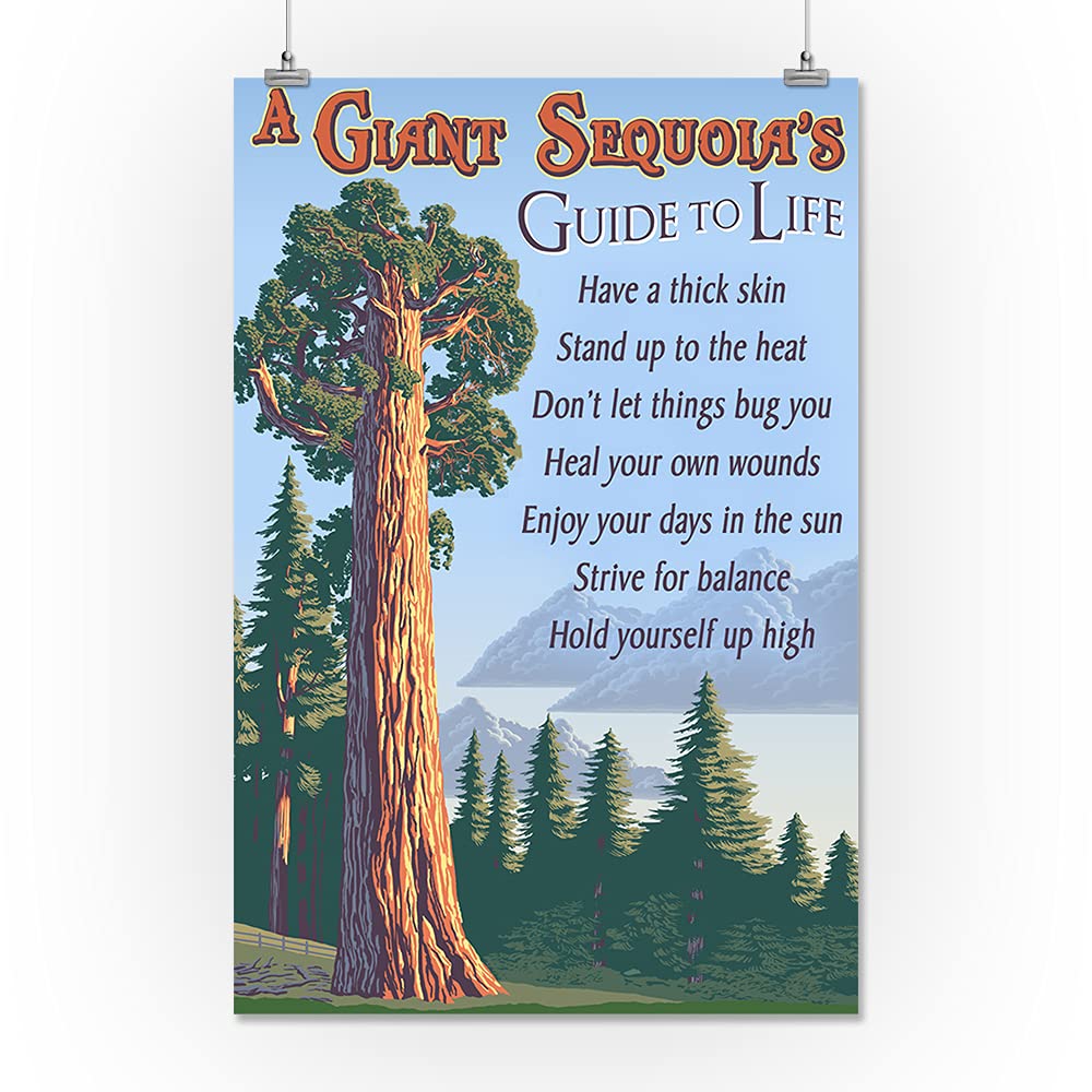 Lantern Press 16x24 Inch Giclee Art Print - Giant Sequoia Tree Nature Wall Decor for Living Room, Bedroom & Office | Premium Quality Fine Art Reproduction