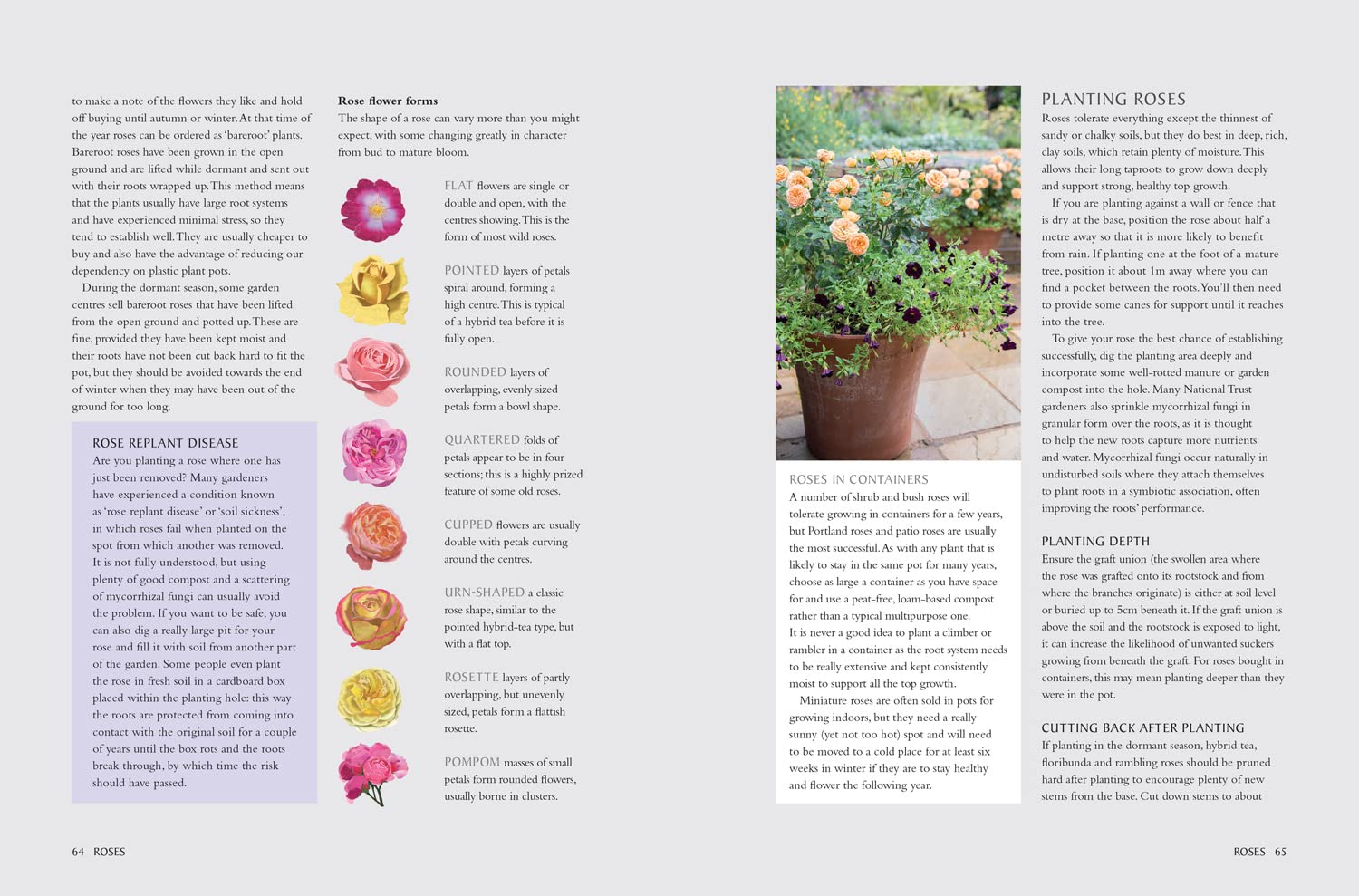 National Trust School of Gardening - Online Gardening Courses & Certification | Learn Gardening Skills for Home, Community & Professional Use
