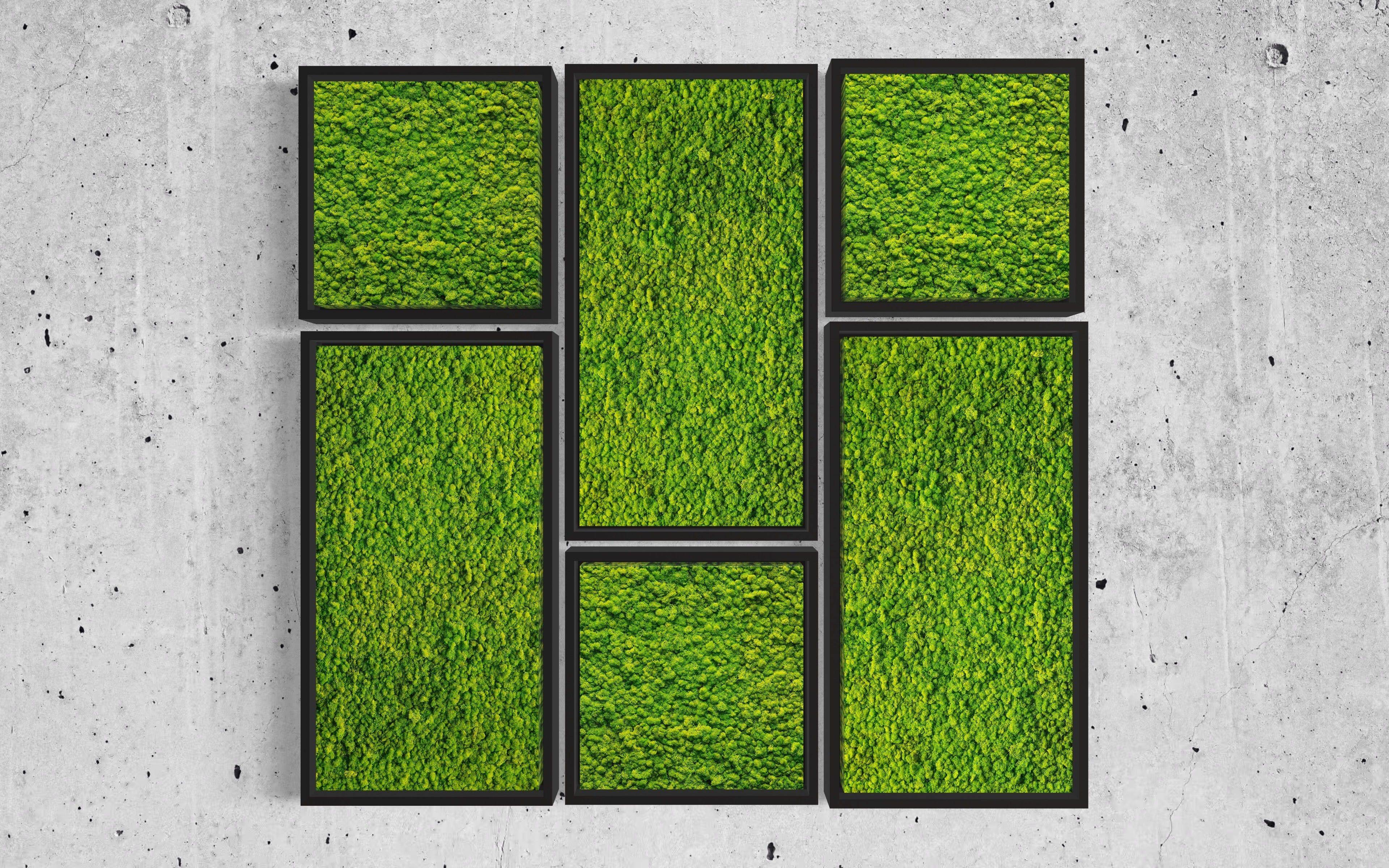 DIY Mosaic Moss Art Kits - Creative Wall Decor for Home, Office & Gifts - Eco-Friendly Botanical Art Projects for Relaxation & Stress Relief