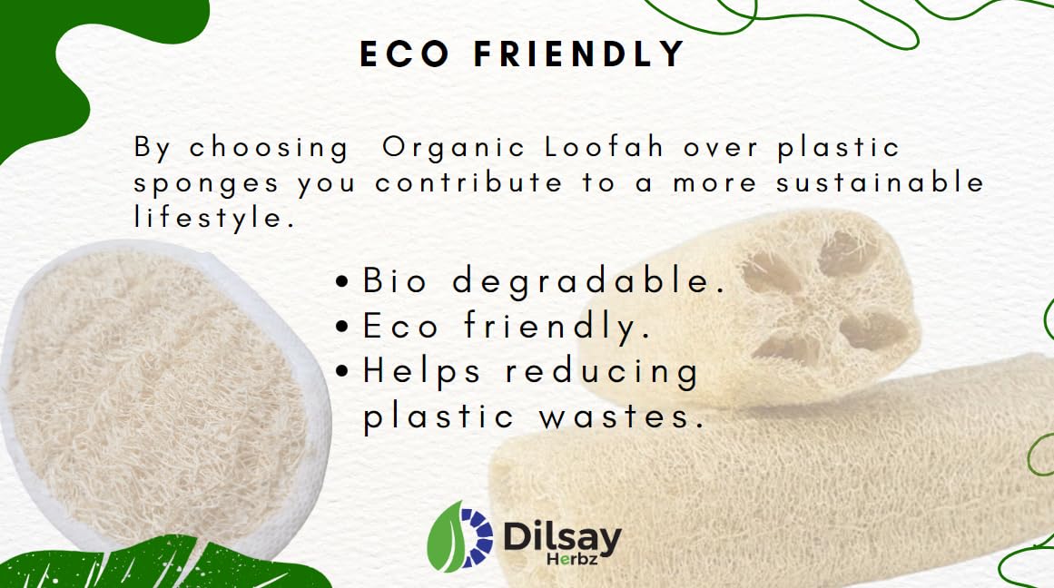 Organic Loofah Scrubber with Cloth Base & Handle - Biodegradable & Disposable Oval Body Scrubber for Men & Women (Pack of 4) - Perfect for Shower, Bath & Exfoliating Dry Skin