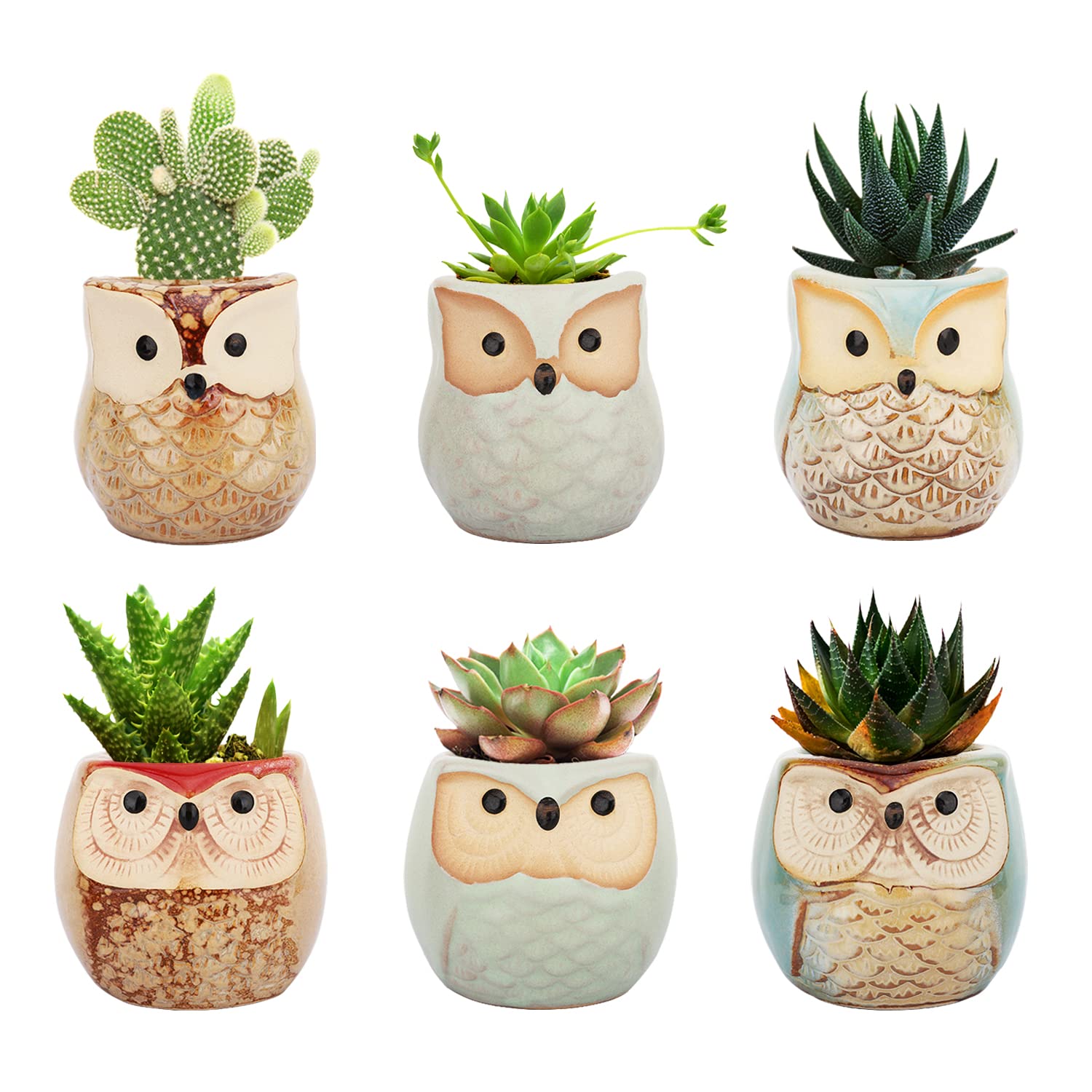 Lewondr 6 Pack 2.5 Inch Mini Ceramic Owl Succulent Pots with Drainage Holes - Small Cute Flower Planters for Succulents, Herbs, Cactus - Perfect for Home, Office Desk, Shelf, Garden, Patio & Balcony Decor