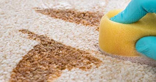 Capture Carpet Total Care Kit - 100 Spot & Stain Remover (32 oz) for Carpets, Couches & Sofas | Professional Upholstery Cleaner | Multi-Surface Stain Removal for Pets, Kids & Everyday Use | Home & Office Cleaning Solution