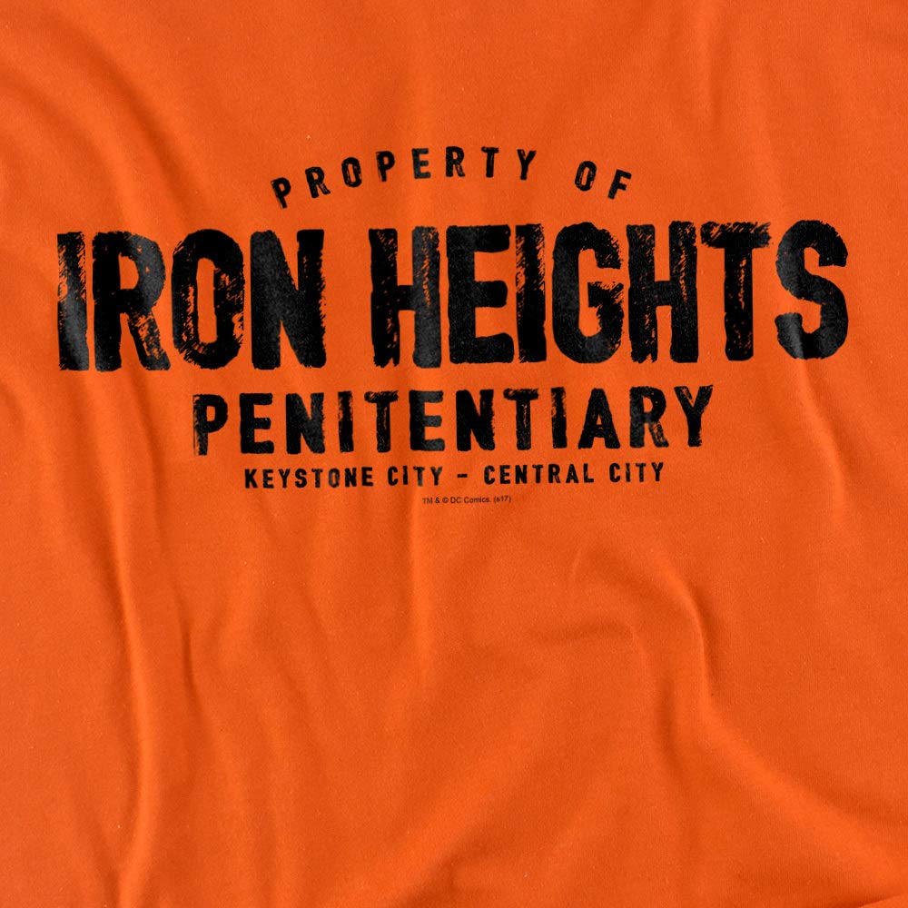 Justice League Iron Heights Unisex T-Shirt - Superhero Graphic Tee for Men & Women - Casual Wear for Comic Con, Cosplay & Everyday Outfits