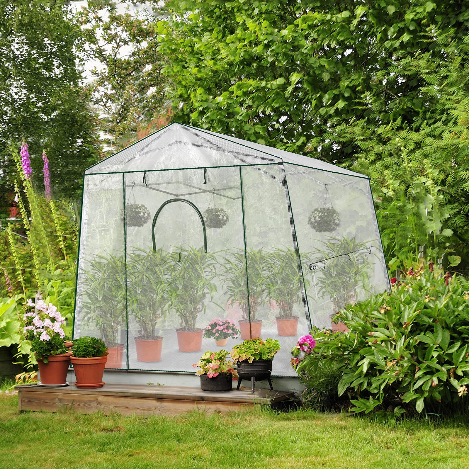 8.5 Ft x 7 Ft Walk-in Greenhouse with Roll-up Zipper Doors & 3 Large Windows - Portable Pop-up Outdoor Plant Canopy for Gardening, Vegetables & Flowers (Medium, Clear) | Perfect for Backyard, Patio & Small Farm Use