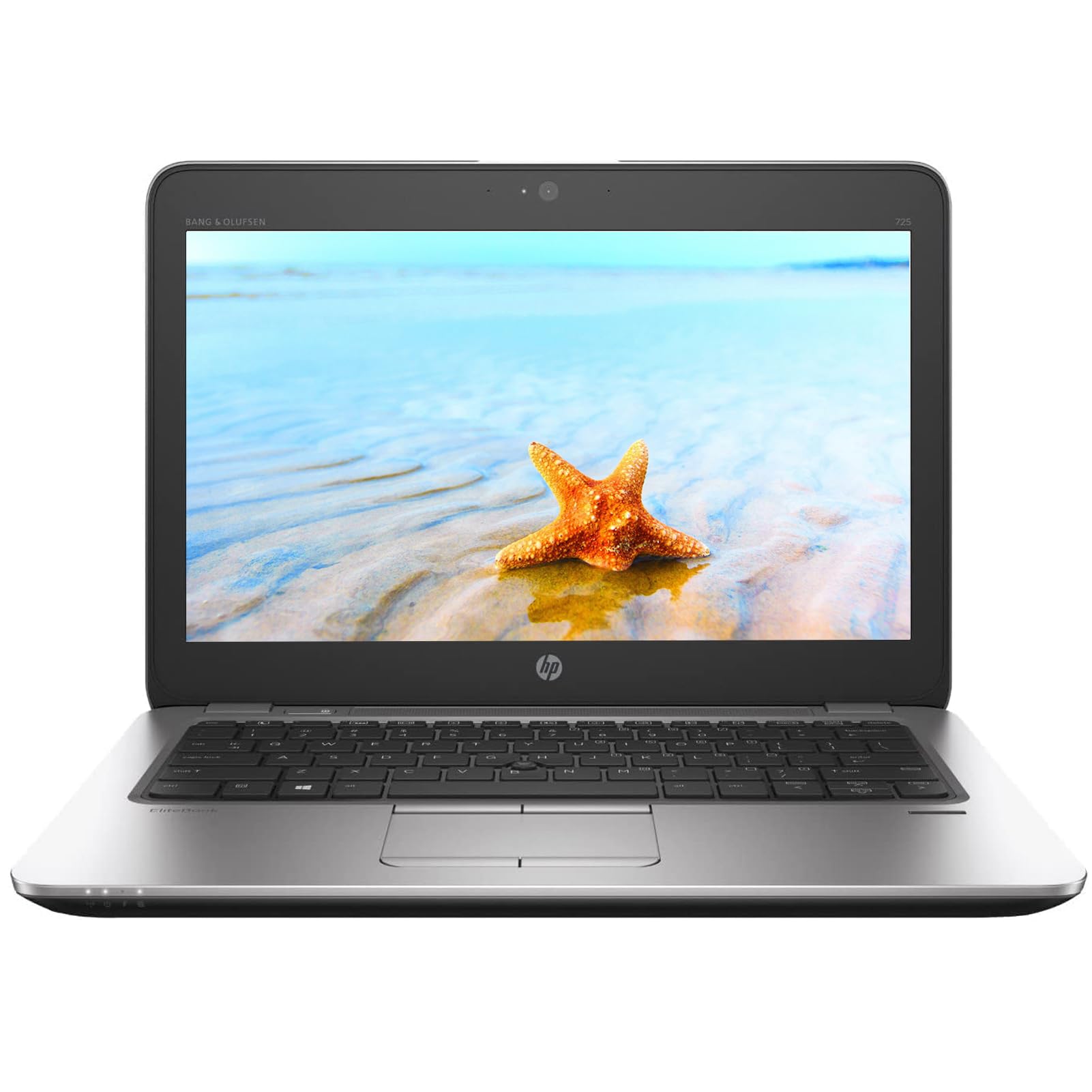 HP Elitebook 725 G3 Business Laptop - 12.5