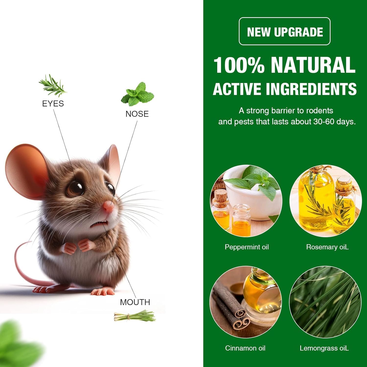 2025 Upgraded 12Pcs Peppermint Oil Mouse Repellent Balls - Natural Rodent Deterrent for Rats, Mice & Insects | Safe for Humans & Pets | Effective Pest Control for Ants, Bugs, Spiders | Ideal for Home, Garage, Basement & Storage Areas