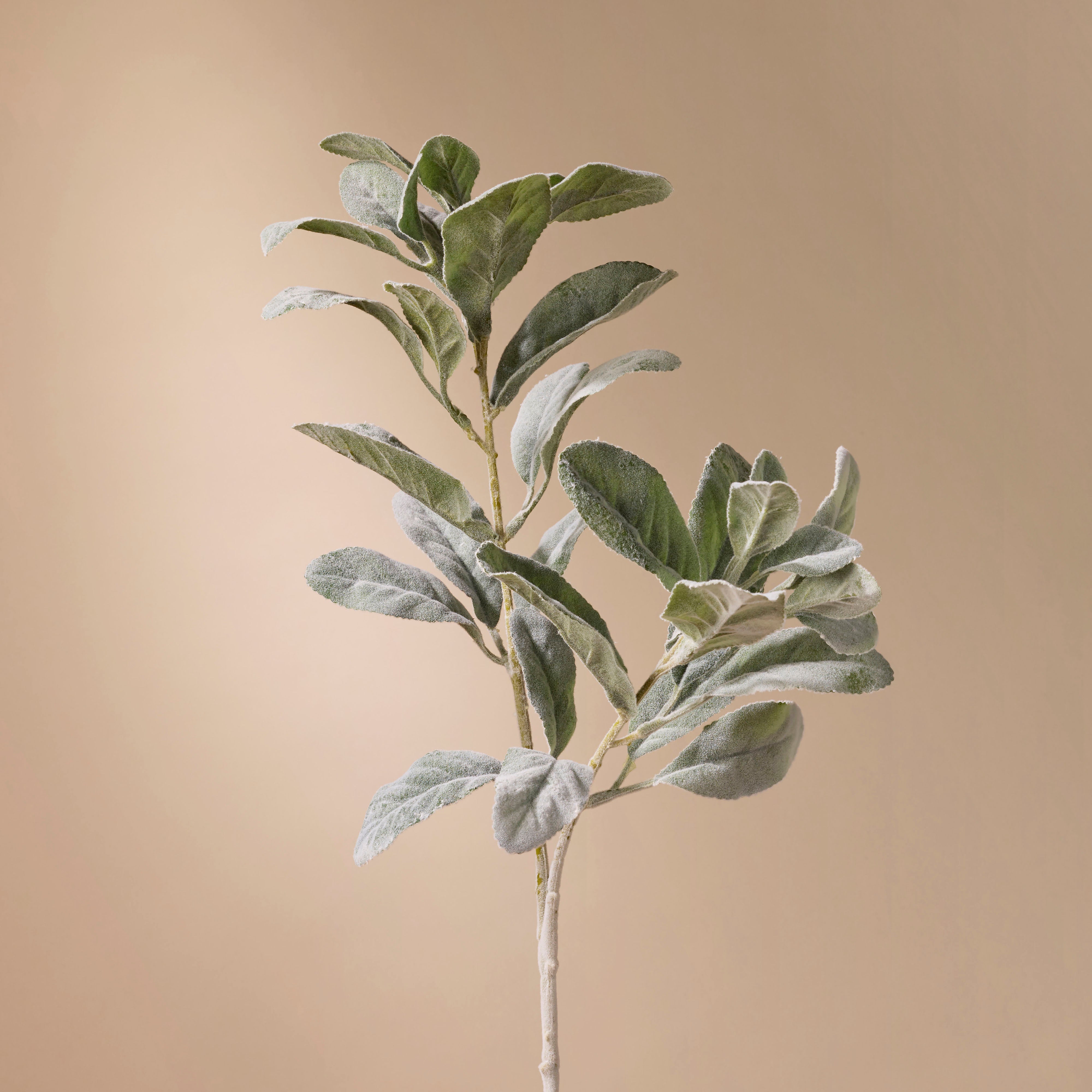 Artificial Lambs Ear Greenery Spray - 28