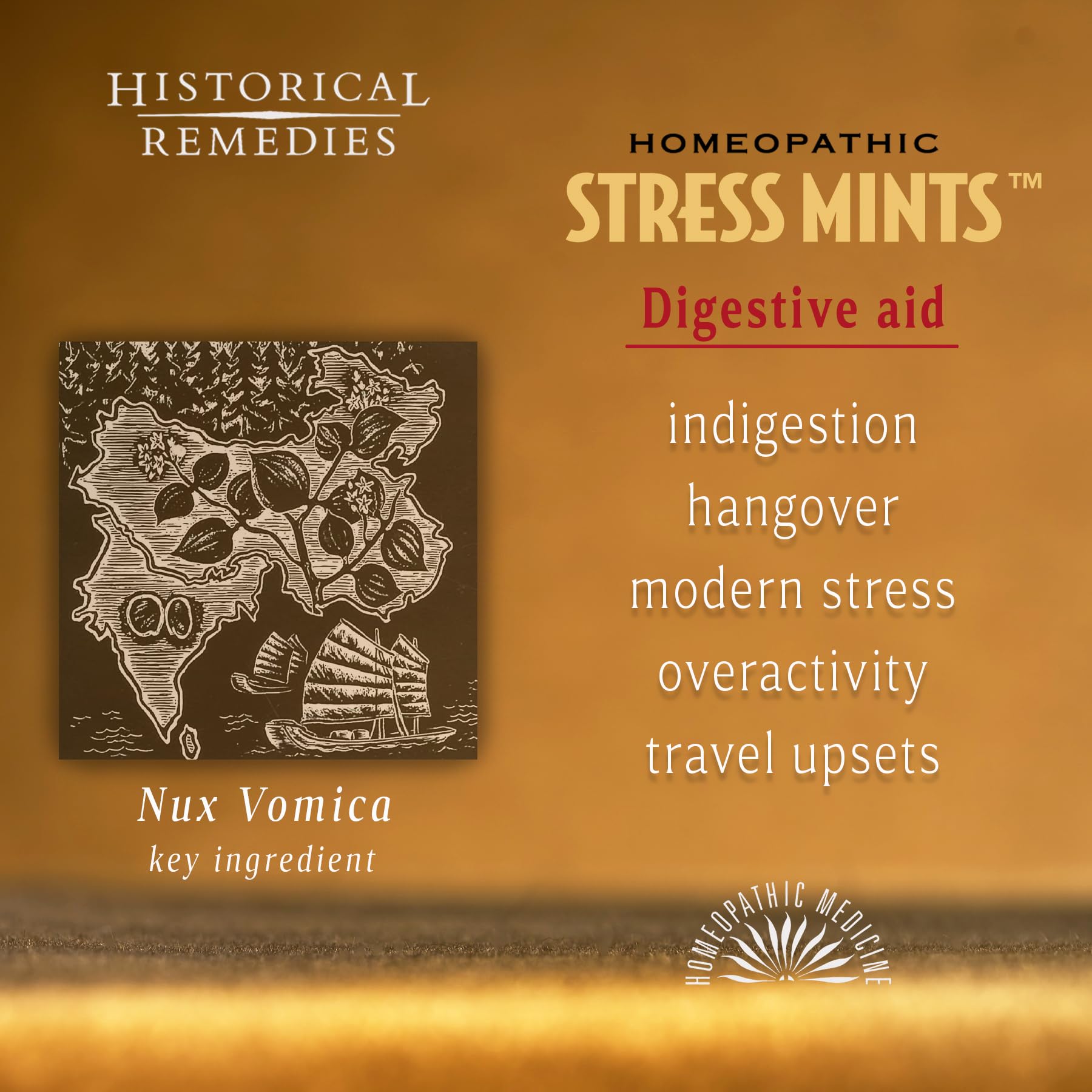 Organic Stress Relief Mints (1 Pack) | Homeopathic Lozenges for Stress & Digestion Support, Vegan Peppermint Flavor, Gluten-Free & Non-Habit Forming | Perfect for Work, Travel & Anxiety Relief