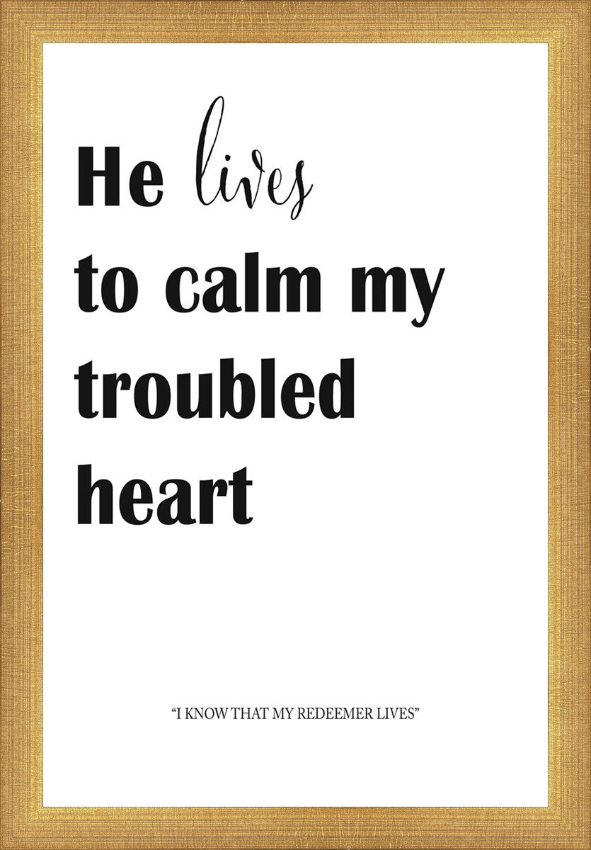He Lives to Calm - Premium Relaxation & Stress Relief Essential Oil Blend for Aromatherapy, Meditation & Sleep - 100% Natural Therapeutic Grade for Diffusers, Massage & Home Spa