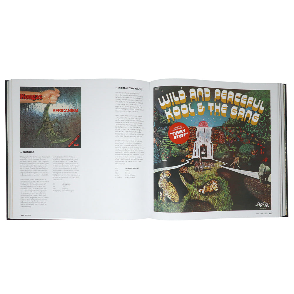 Best Funk & Soul Vinyl Record Covers (XL Size) - Perfect for DJs, Collectors & Music Enthusiasts