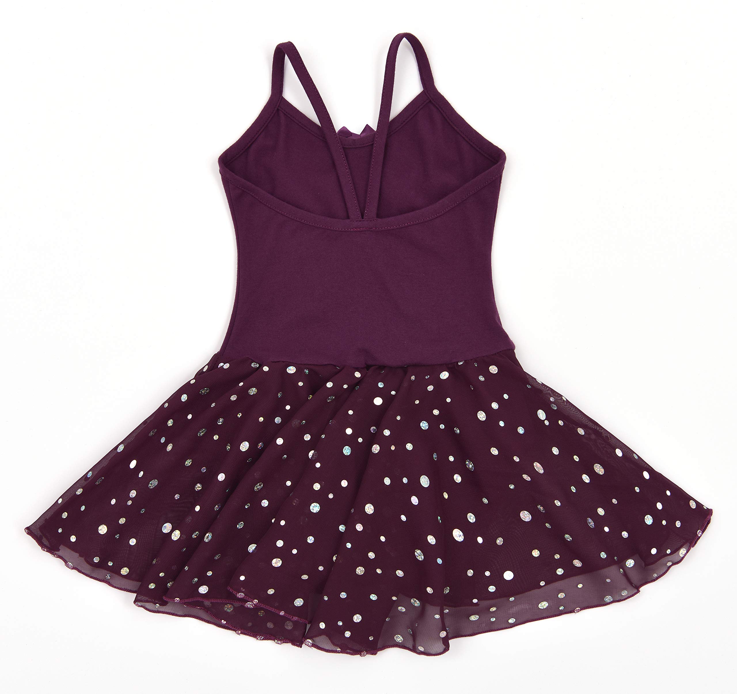 DANSHOW Girls Short Sleeve Ballet Leotard with Tutu Skirt - Kids Dance Costume for Ballet, Gymnastics & Performance - Perfect for Recitals, Competitions & Dance Classes