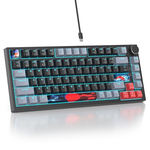 Dark /Red Switch
