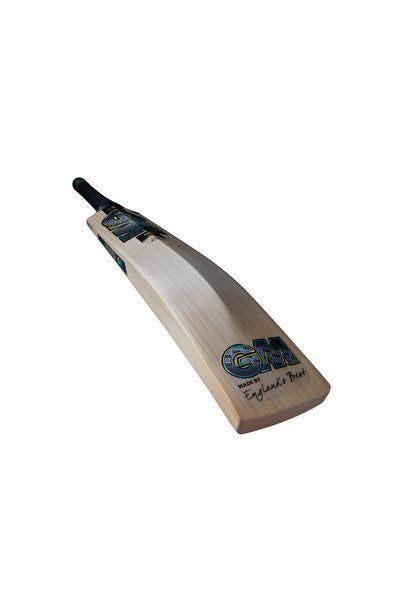 GM AION Signature Cricket Bat 2025 - Premium English Willow Cricket Bat for Professional Players | Perfect for Tournament Matches & Practice Sessions