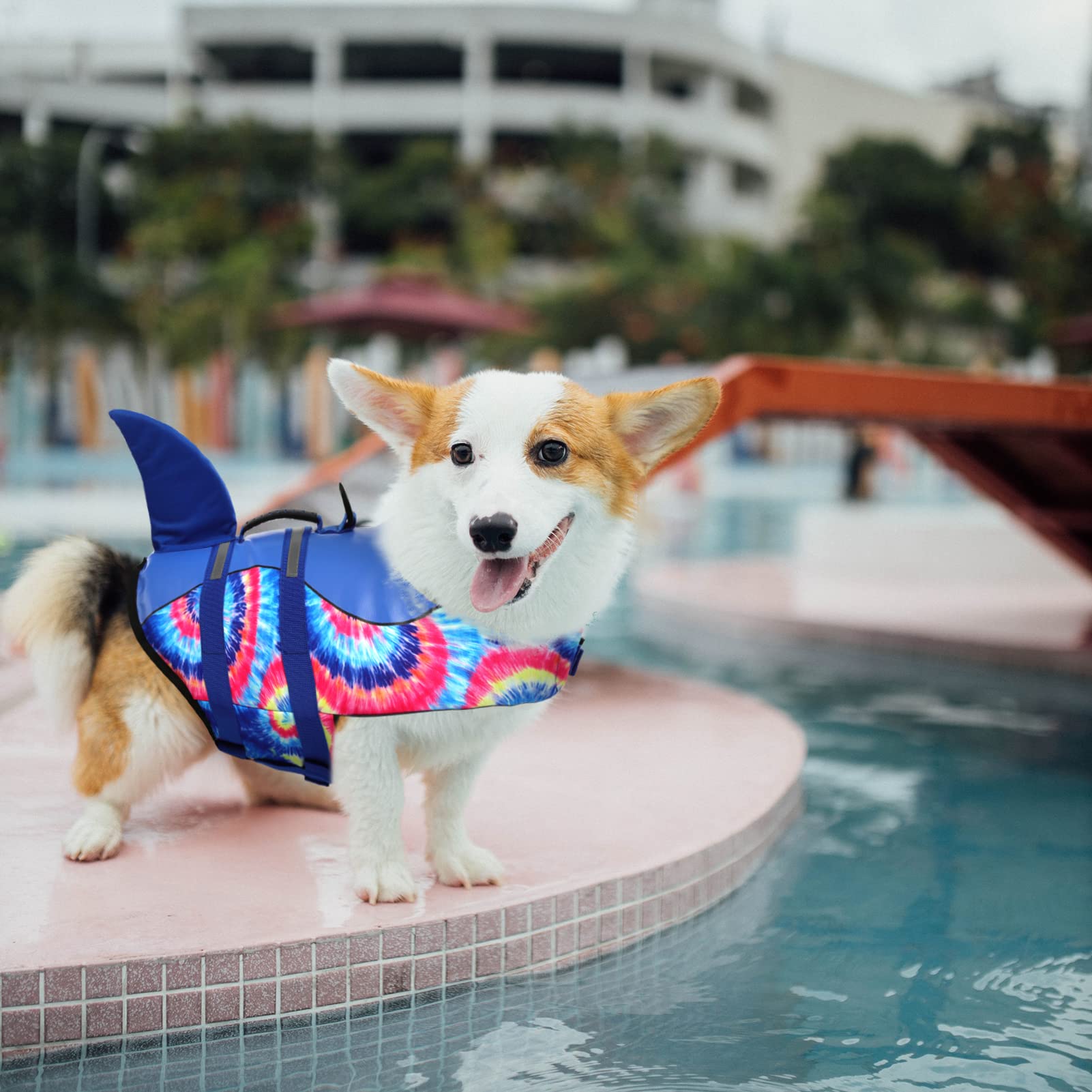 ASENKU Dog Life Jacket - Safety Vest for Swimming & Boating | Shark Design Pet Life Preserver | Flotation Swimwear for Small Medium Large Dogs | Perfect for Pool, Beach & Water Activities (Blue Bandhnu, Size M)