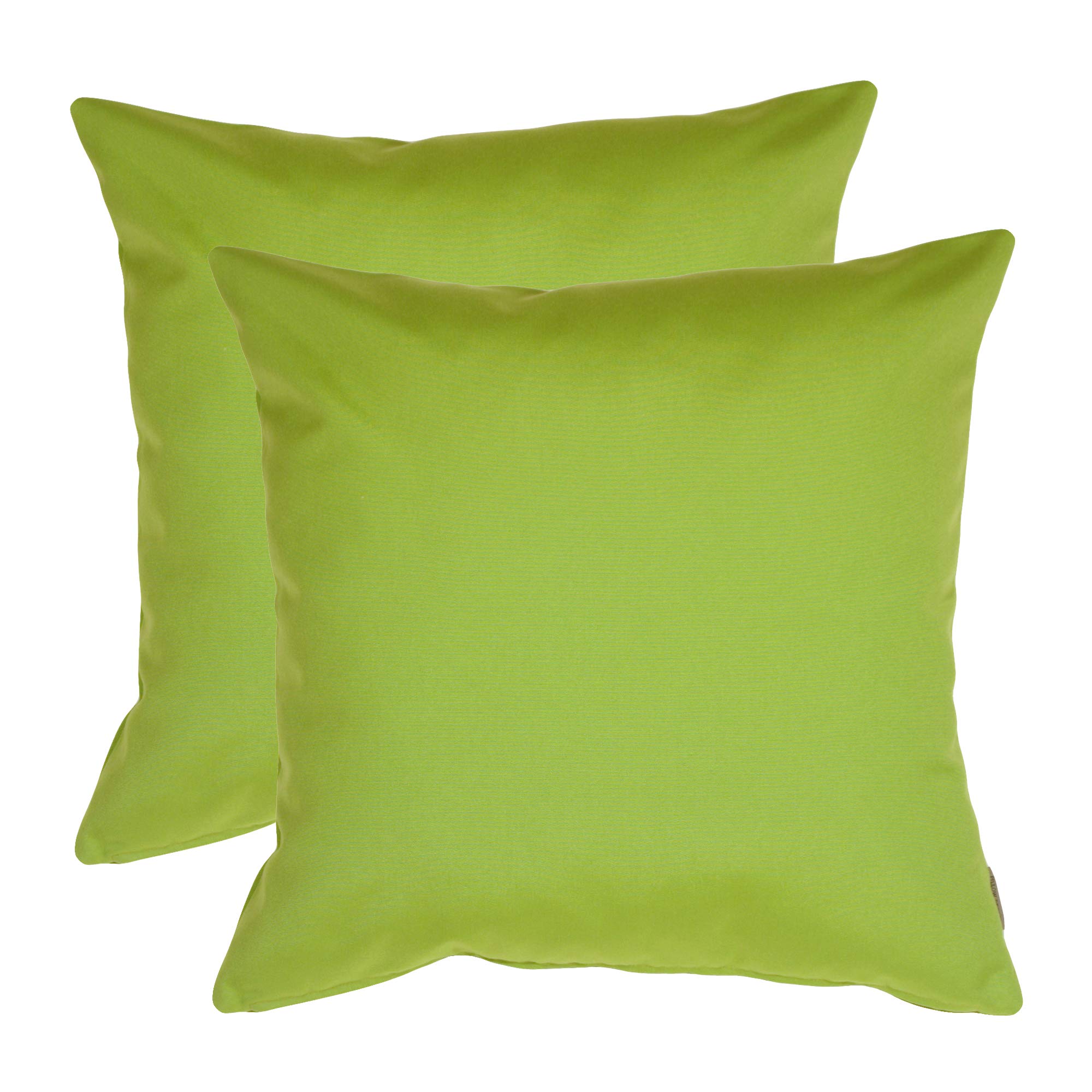 Sunbrella Outdoor Pillow Set of 2 - 20x20 Inch Waterproof Decorative Throw Pillows with Inserts, Macaw Green - Perfect for Patio Furniture, Poolside Lounging & Garden Decor