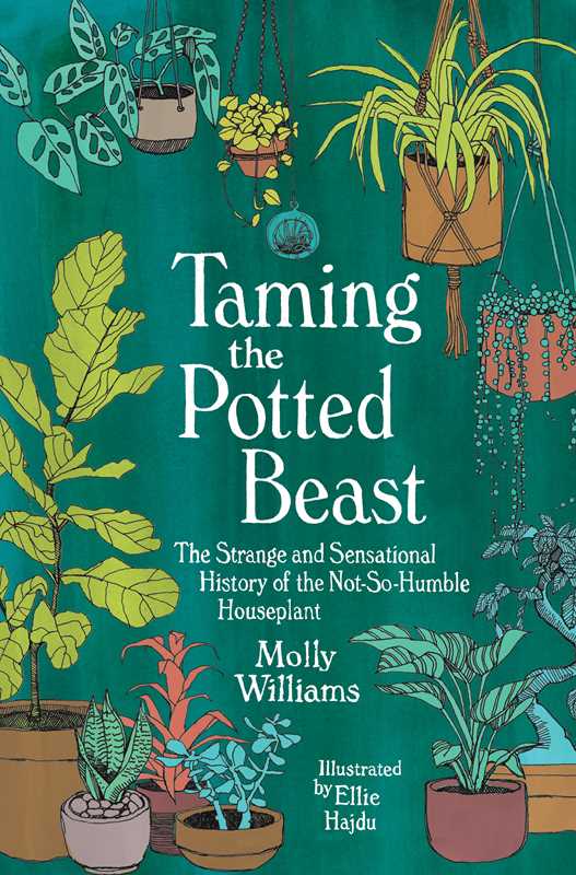 Taming the Potted Beast by Molly Williams - Indoor Plant Care Guide for Beginners | Perfect for Home Decor, Office Plants & Gardening Enthusiasts