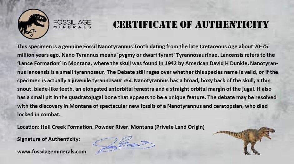 Authentic 0.4