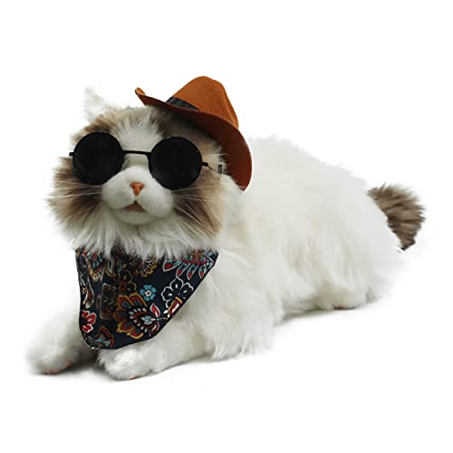 Ragdoll_with Cowboy Suit
