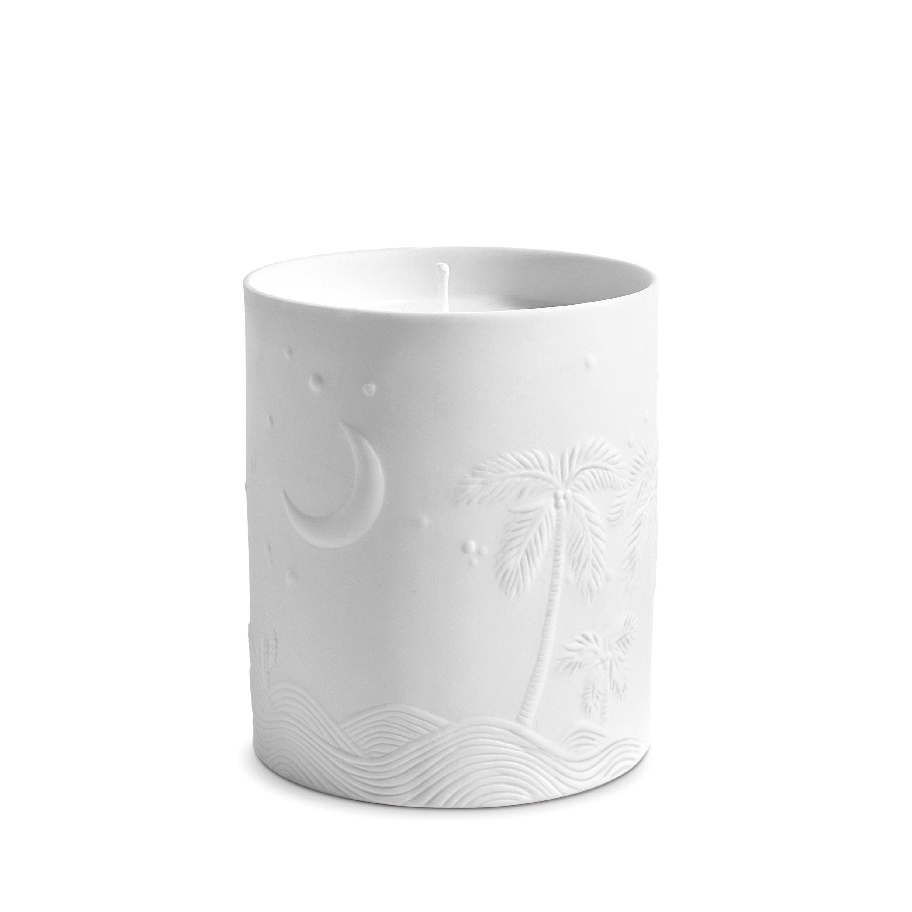 Haas Mojave Palm Candle - Natural Soy Wax Scented Candle for Home & Relaxation | Perfect for Aromatherapy, Meditation, and Cozy Evenings