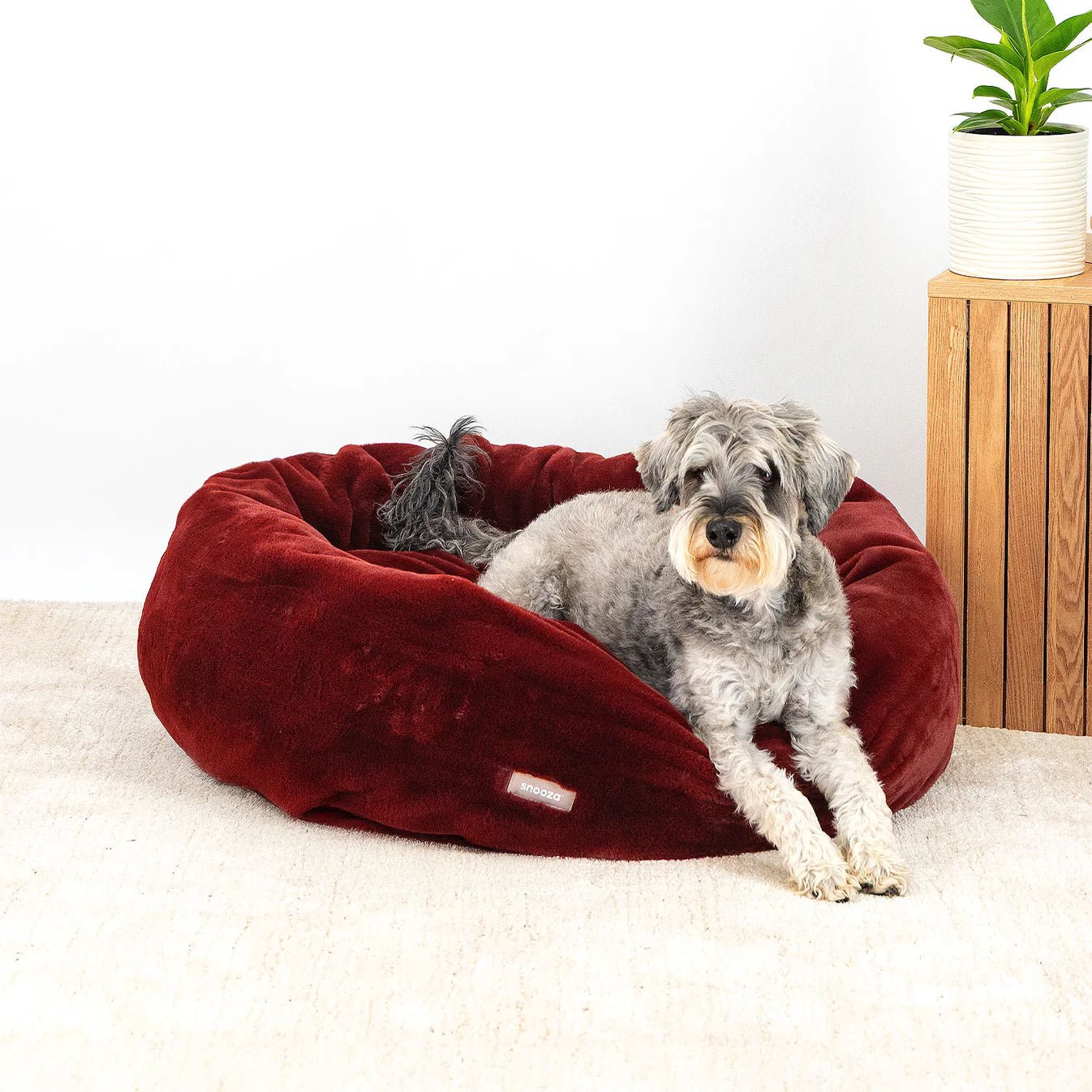 Premium Orthopedic Dog Bed for Large Dogs - Plush Luxe Cuddler Pet Bed with Removable Washable Cover - Perfect for Living Room, Bedroom & Pet-Friendly Spaces (Plum)