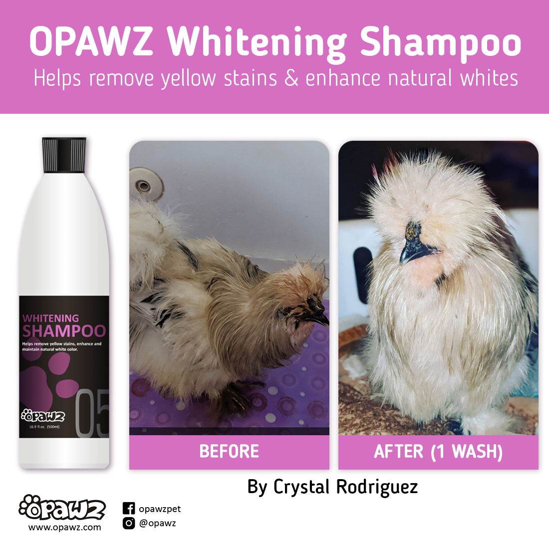 OPAWZ 05 Whitening Shampoo for Dogs - Brightens & Whitens Fur - Safe for All Coat Colors | Perfect for Show Dogs & Daily Grooming