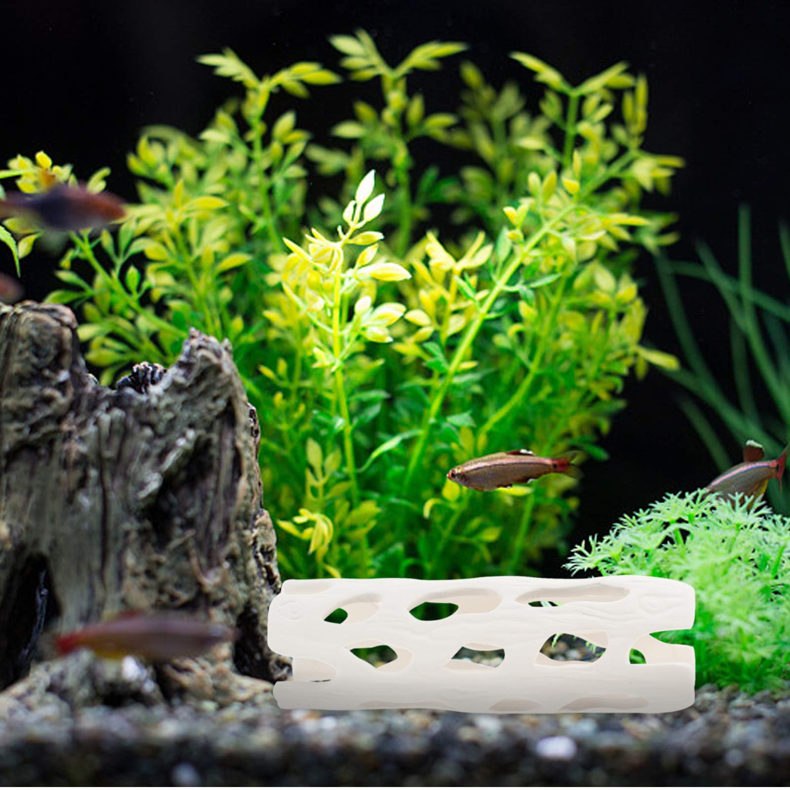 Balacoo Ceramic Aquarium Decor - Betta Cave & Cichlid Hideout for Breeding