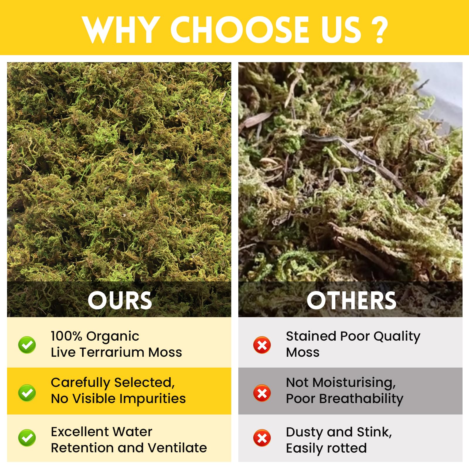 Premium 2.6LB Sphagnum Moss for Reptiles - 100QT Natural Live Moss Terrarium Bedding for Snakes, Geckos, Turtles & Frogs | Ideal for Reptile Habitat, Egg Hatching & Forest Terrarium Decor