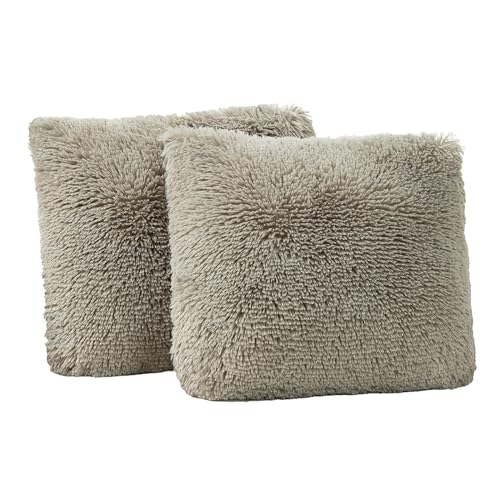Pumice Stone