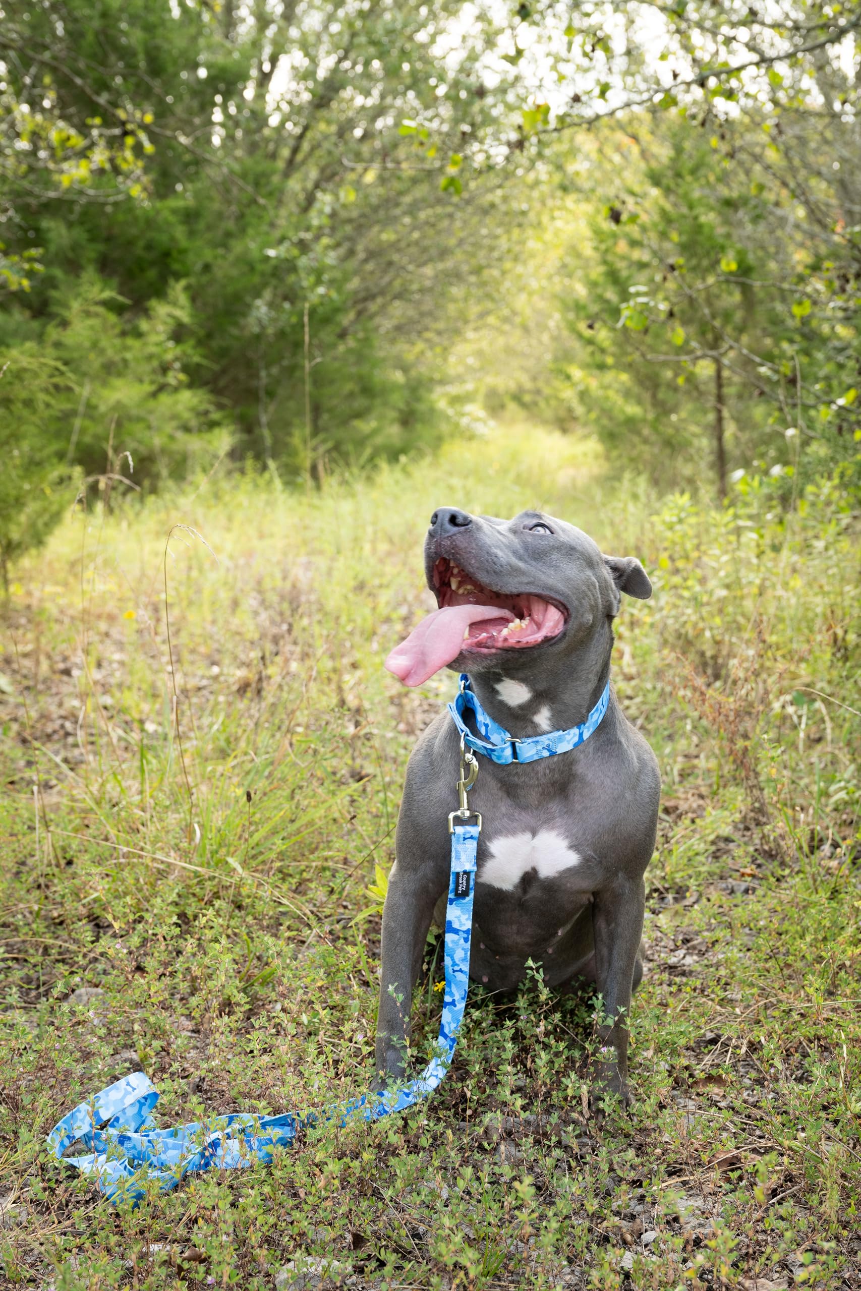 Country Brook Design® 5/8 Inch Blue Bone Camo Dog Leash - 4 Feet Strong Nylon Pet Lead for Walking, Training & Outdoor Adventures
