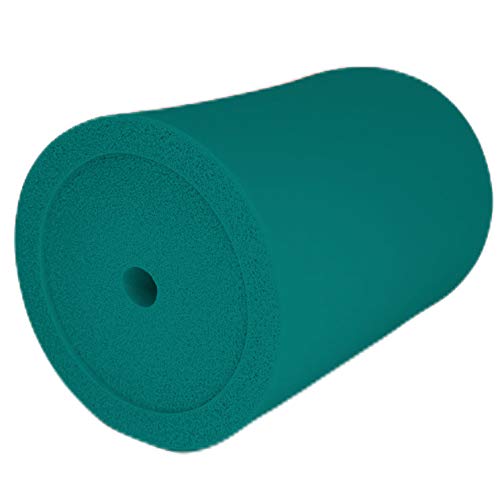 Thick Foam Can Cooler 12 Pack - Turquoise for Beer & Soda